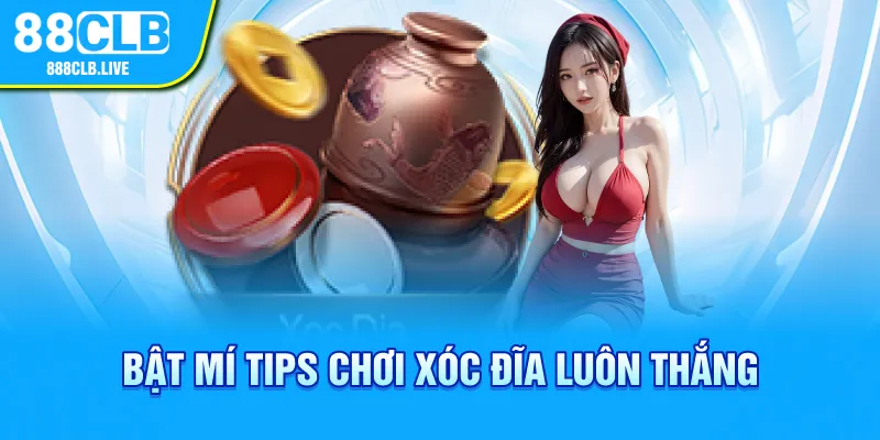 Bật mí tips chơi xóc đĩa luôn thắng 