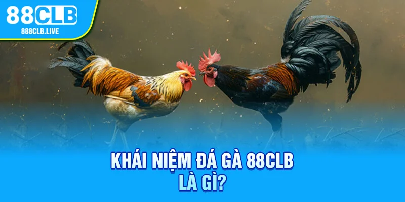 Khái niệm đá gà 88CLB là gì? 