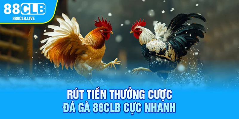 Rút tiền thưởng cược đá gà 88CLB cực nhanh 