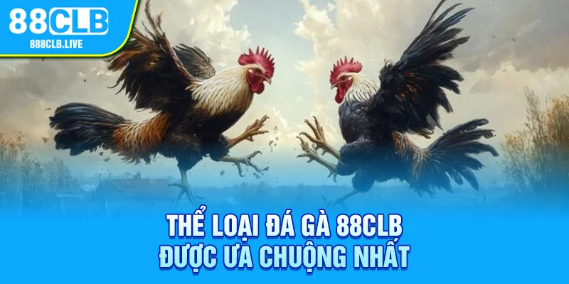 Thể loại đá gà 88CLB được ưa chuộng nhất 