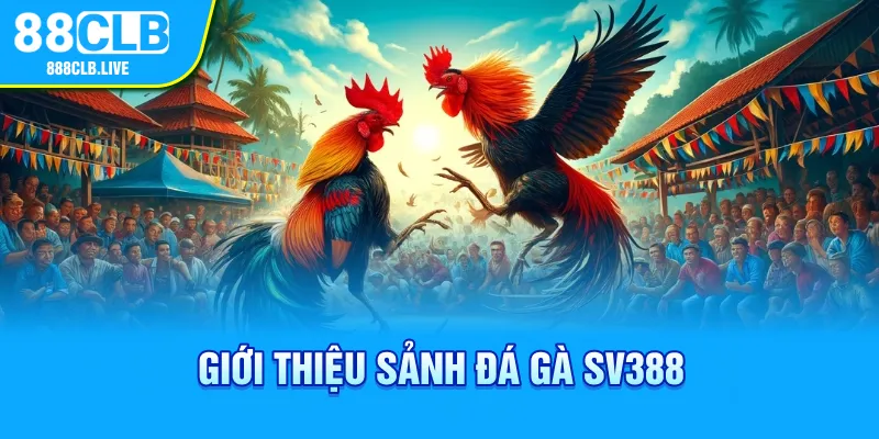 Giới thiệu sảnh đá gà SV388