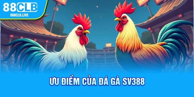 Ưu điểm của đá gà SV388