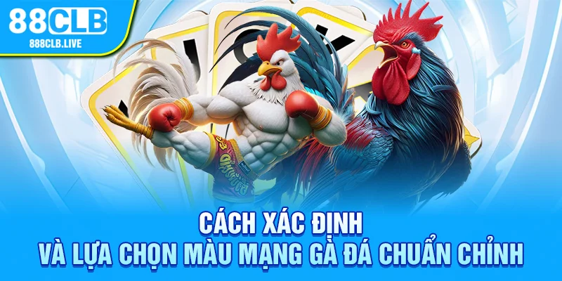 Màu mạng gà đá