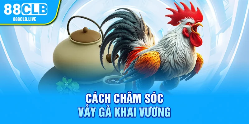 Cách chăm sóc vảy gà khai vương