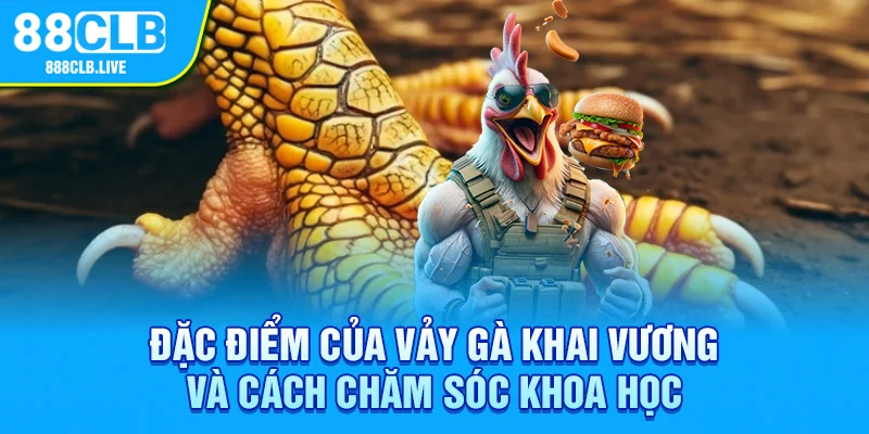 Vảy Gà Khai Vương