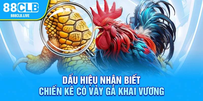 Dấu hiệu nhận biết chiến kê có vảy gà khai vương