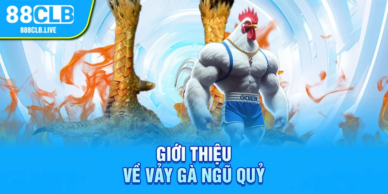 Giới thiệu loại vảy gà ngũ quỷ