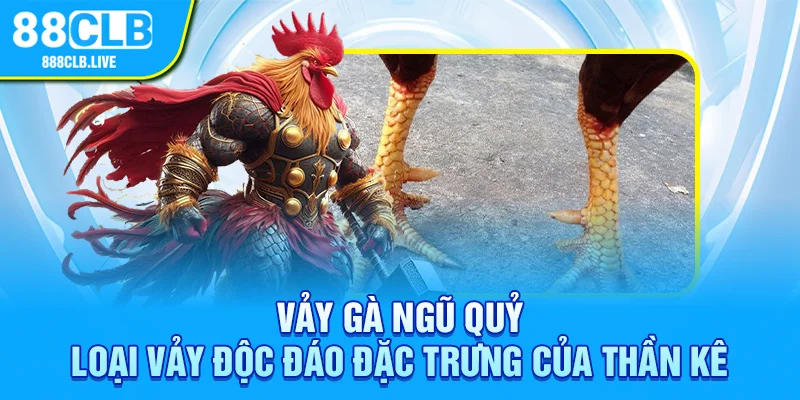 Vảy gà ngũ quỷ