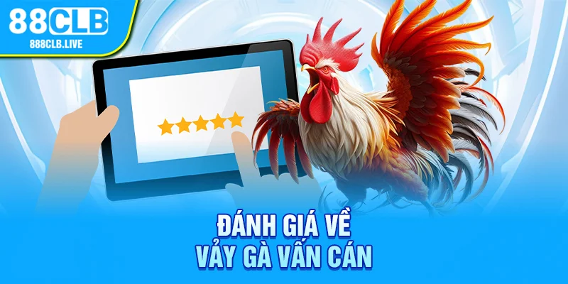 Đánh giá về vảy gà vấn cán